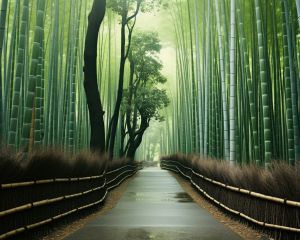 Japanese Bamboo Forest