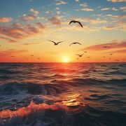Ocean with birds at sunset