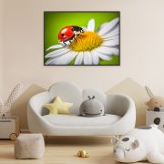 Ladybug on a daisy flower