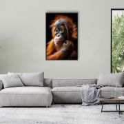 Orangutan